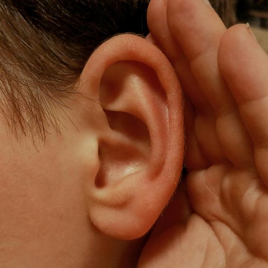 Persons ear with hand in cupping shape around it